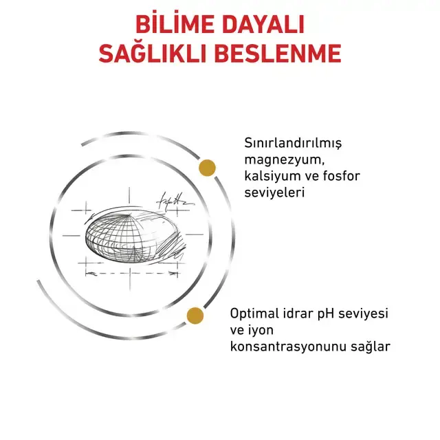 Royal Canin Urinary S/O 3.5 Kg Kedi Maması – İdrar Yolu Sağlığı ve Struvit Taşı Çözümü