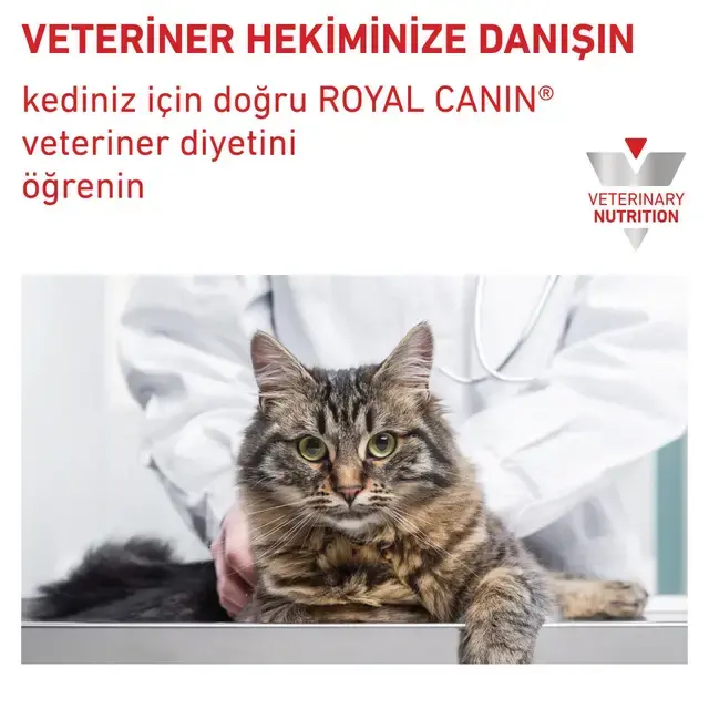 Royal Canin Urinary S/O 3.5 Kg Kedi Maması – İdrar Yolu Sağlığı ve Struvit Taşı Çözümü