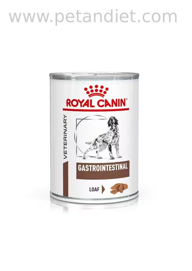 Royal Canin Gastrointestinal 6x400 Gr Köpek Yaş Maması (SKT:06.2027) – Sindirim Sistemi Destekleyici Veteriner Diyet