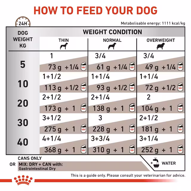 Royal Canin Gastrointestinal 6x400 Gr Köpek Yaş Maması (SKT:06.2027) – Sindirim Sistemi Destekleyici Veteriner Diyet