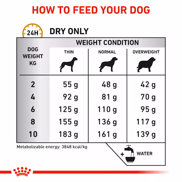 Royal Canin Urinary S/O Small 1.5 Kg Köpek Maması – Küçük Irk Köpekler İçin İdrar Yolu Destekleyici Veteriner Diyet
