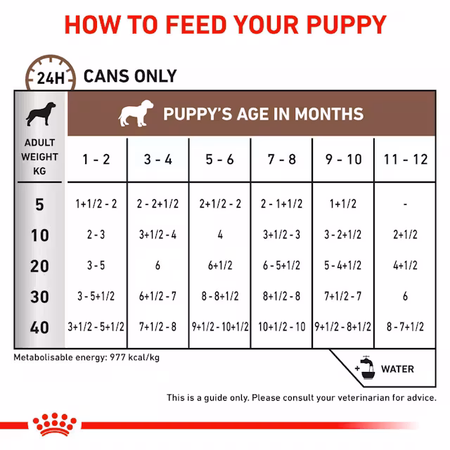 Royal Canin Gastrointestinal Puppy 6x195 Gr Köpek Yaş Maması (SKT:09.2027) – Yavru Köpekler İçin Sindirim Destekleyici Veteriner Diyet