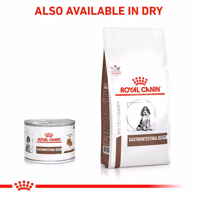 Royal Canin Gastrointestinal Puppy 6x195 Gr Köpek Yaş Maması – Yavru Köpekler İçin Sindirim Destekleyici Veteriner Diyet