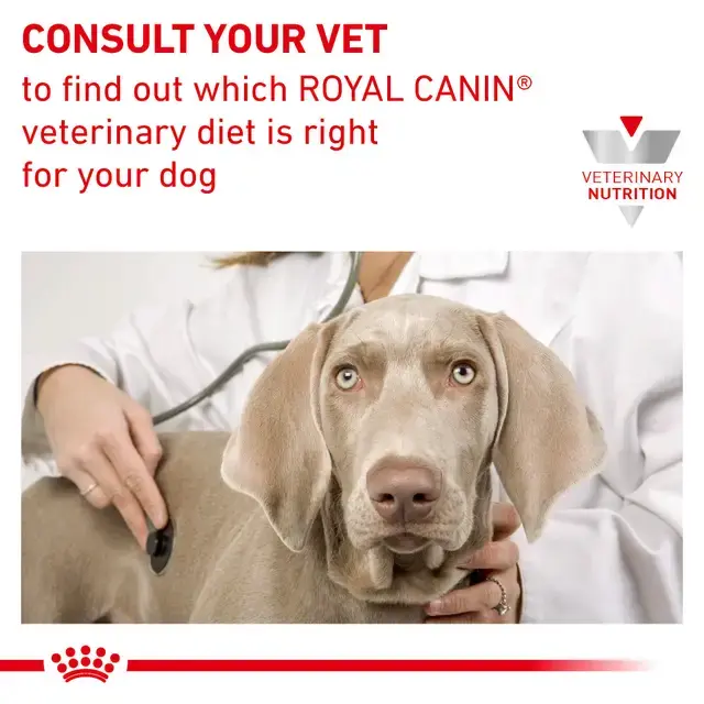 Royal Canin Hypoallergenic 6x400 g Yaş Köpek Maması (SKT:03.2027) – Gıda Alerjileri İçin Veteriner Diyet