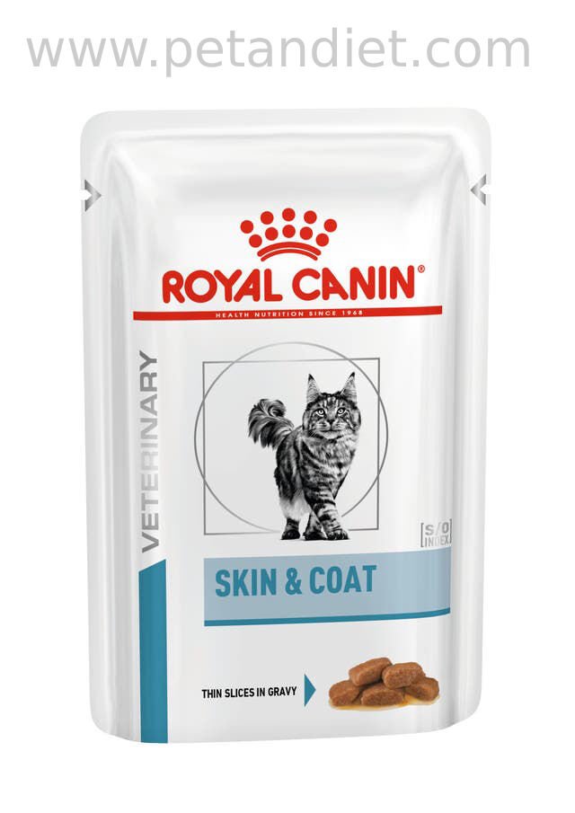 Royal Canin Skin & Coat 12×85 g Yaş Kedi Maması – Cilt ve Tüy Sağlığı İçin Özel Formül