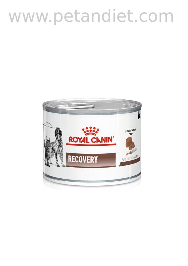 Royal Canin Recovery 6x195 g Yaş Mama – Ameliyat Sonrası ve Yoğun Bakım İçin Veteriner Diyet