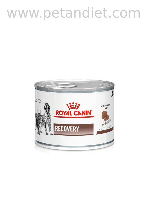 Royal Canin Recovery 6x195 g Yaş Mama – Ameliyat Sonrası ve Yoğun Bakım İçin Veteriner Diyet