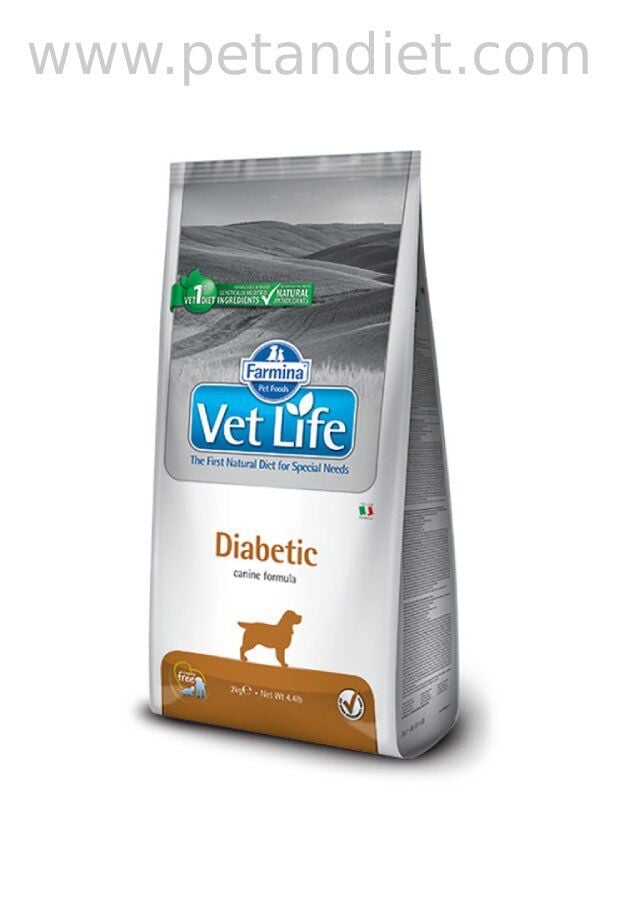 Vetlife Diabetic 12 KG Köpek Maması | Diyabet (Şeker Hastalığı) İçin Veteriner Diyet