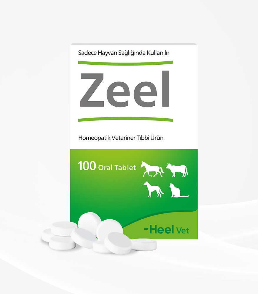 Zeel Oral Tablet 100 Tablet (SKT:2030)