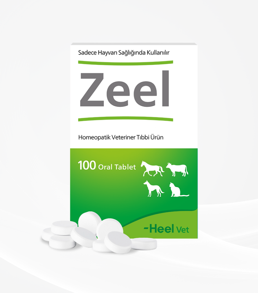 Zeel Oral Tablet 100 Tablet (SKT:2030)