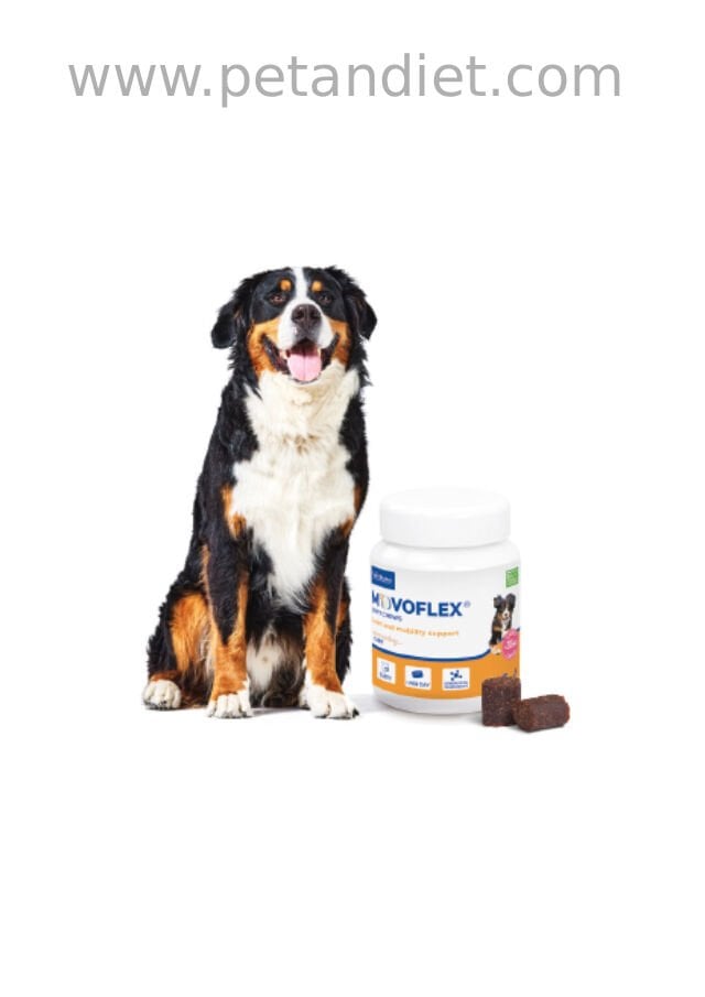 Virbac Movoflex L >35 Kg Köpek Eklem Desteği | İleri Seviye Hareket Sağlığı