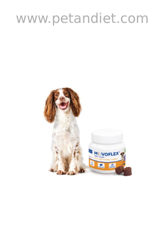 Virbac Movoflex M 15–30 Kg Köpek Eklem Desteği | Hareket ve Eklem Sağlığı