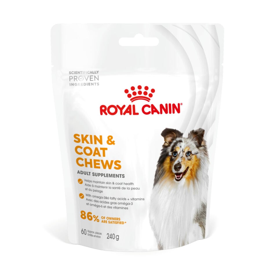 Royal Canin Skin & Coat Chews Köpek Ödülü 240 Gr (SKT:05.2027)