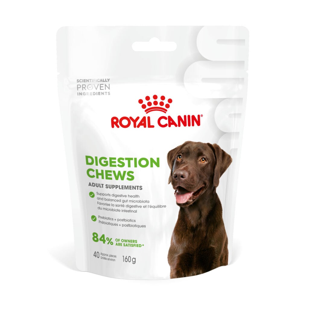 Royal Canin Digestion Chews Köpek Ödülü 160 Gr (SKT:05.2027)