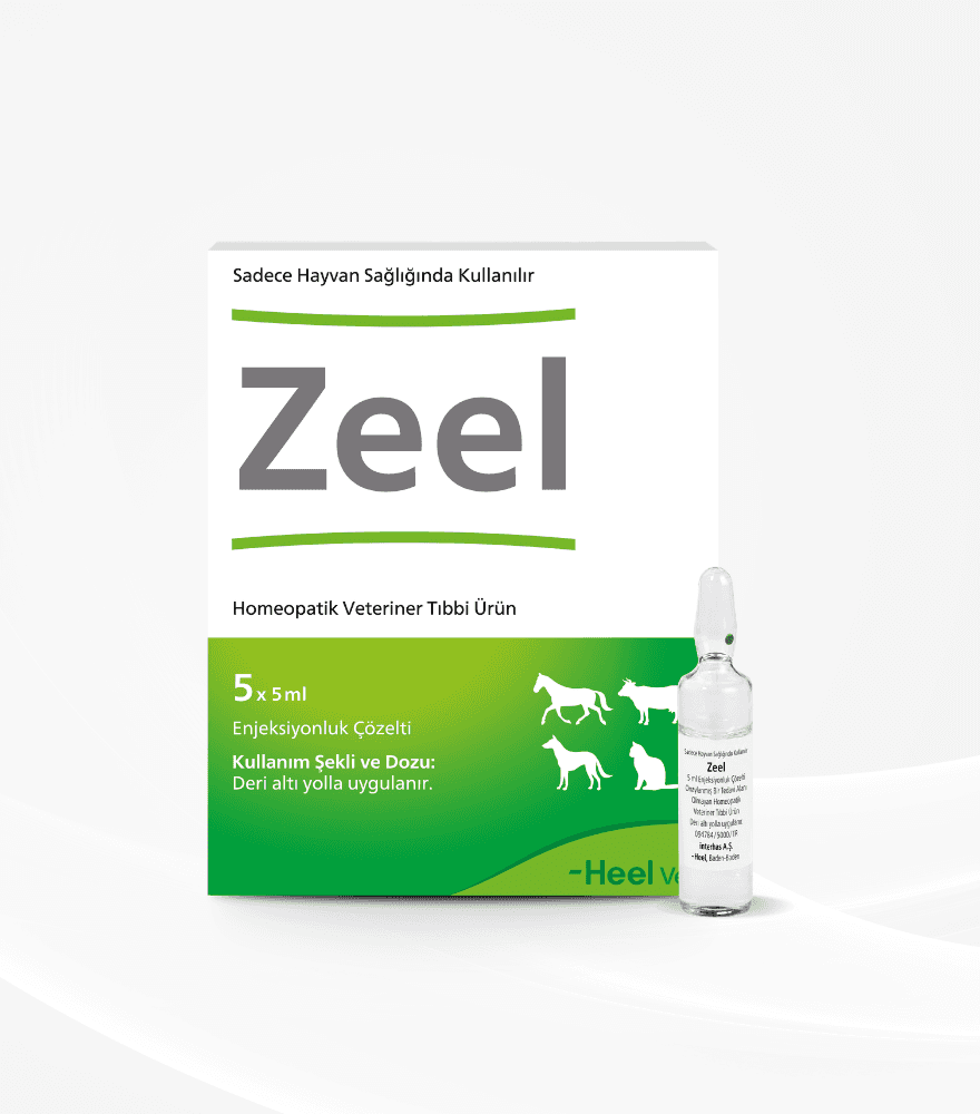 Zeel Enjeksiyon Çözelti 5x5 Ml