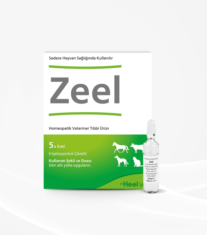 Zeel Enjeksiyon Çözelti 5x5 Ml
