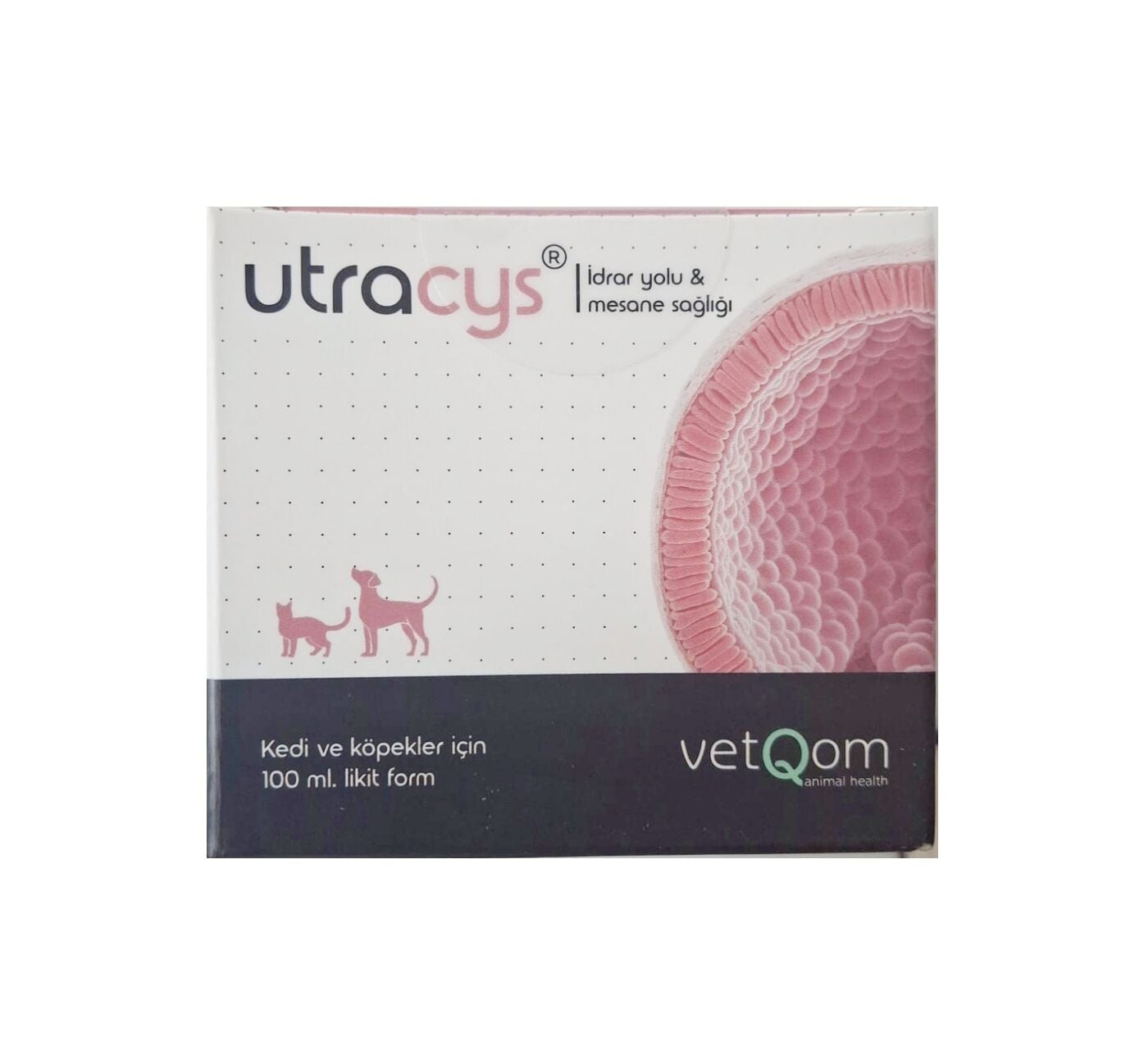 vetQom Utracys Kedi Köpek – İdrar Yolu Mesane Sağlığı Likit 100 Ml ( SKT:07.2027 )