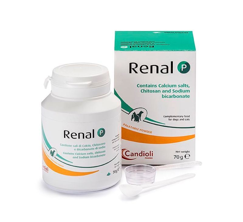 Candioli Renal P Toz 70 gr skt:2028